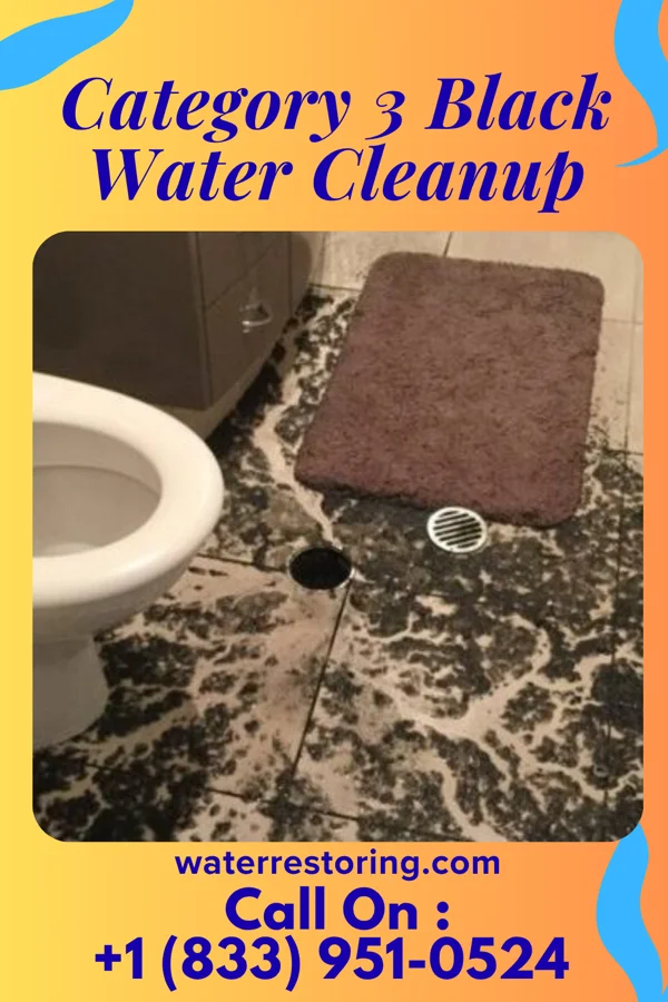 Category 3 Black Water Cleanup in McDowell, KY