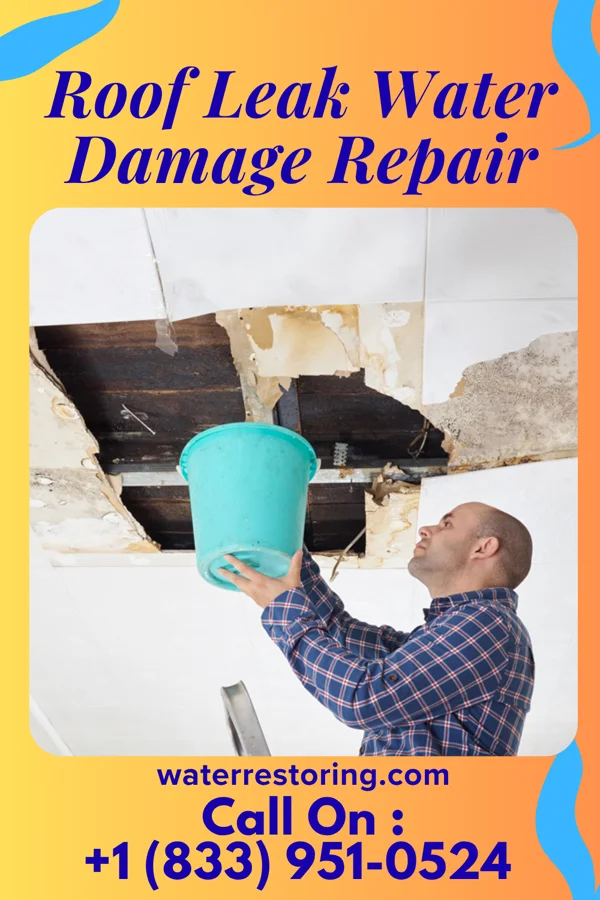 Roof Leak Water Damage Repair in McDowell, KY