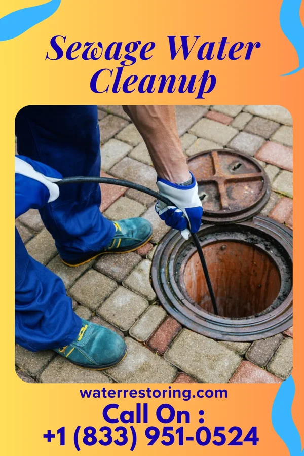 Sewage Water Cleanup in McDowell, KY