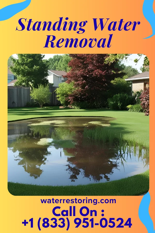 Standing Water Removal in McDowell, KY